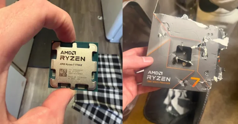 That's a First: Dog Chews on AMD Ryzen 7 7700X, Warranty Definitely Won't Cover It